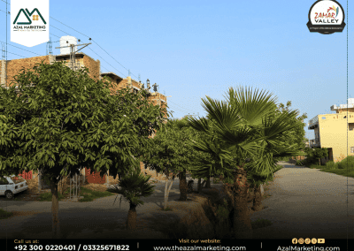 Zamar Valley Islamabad Latest Development Updates in 2025