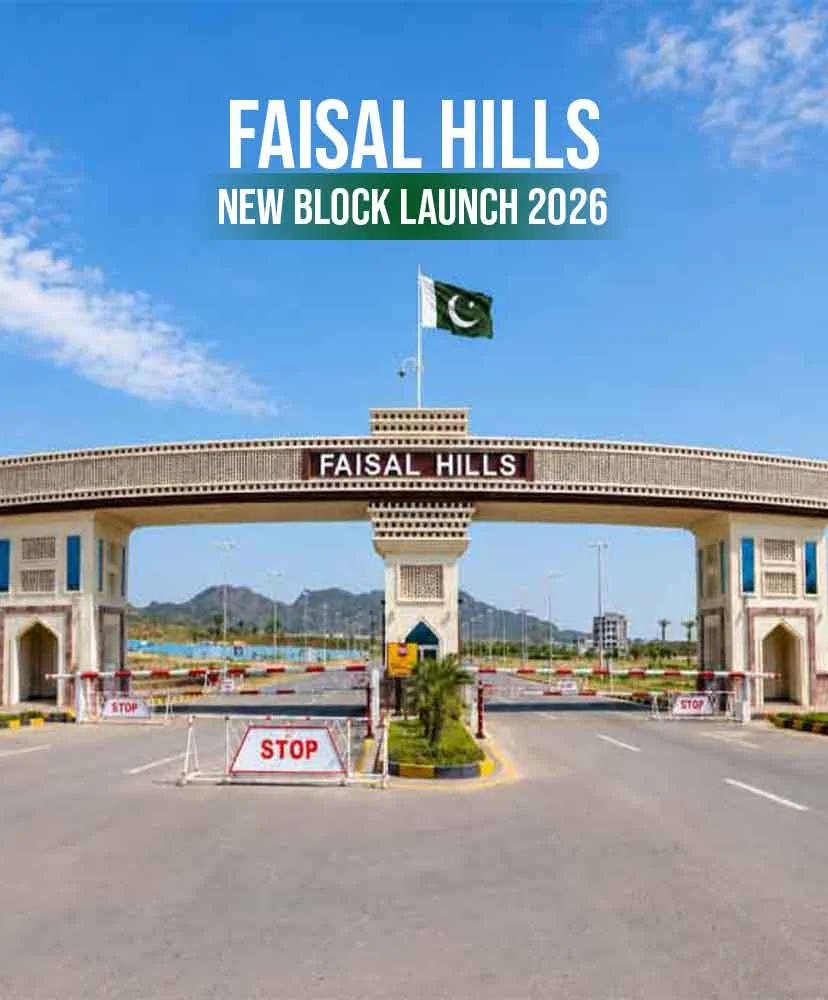 faisal-hills